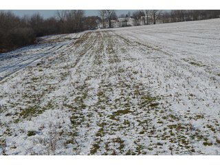 54.7 Acres with 50 tillable and 4.3 wooded.  Surrounded by heavy deer population on CRP land.  Great trophy deer hunting on established food plots.  Hunting tower.

Receive income on tillable acres while abundance of deer hunting on established food plot. - Great Investment Opportunity - Tillable Land, Recreation & Building Site